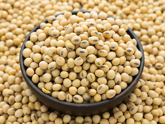 Соя: научно-доказанные свойства продукта