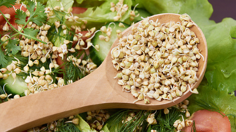 Зелёная гречка, ложка, проростки