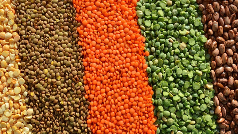 разная чечевица фото