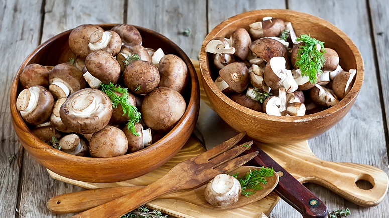 Шампиньоны грибы фото