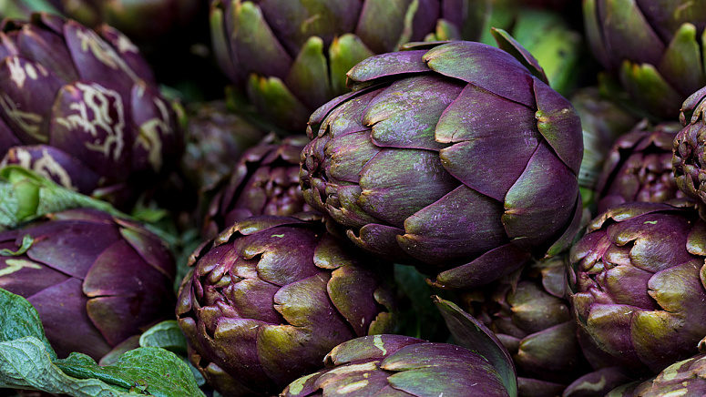 спелый артишок фото