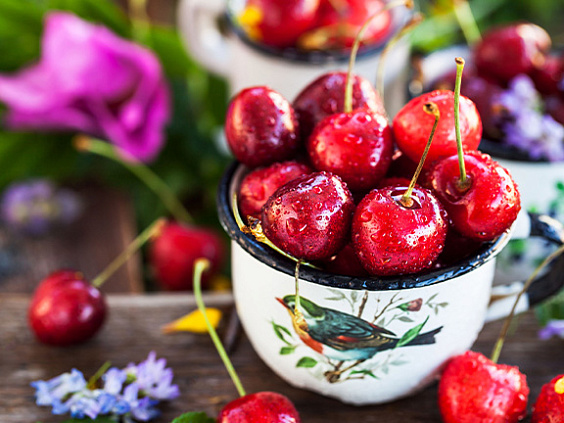Черешня: польза и вред продукта