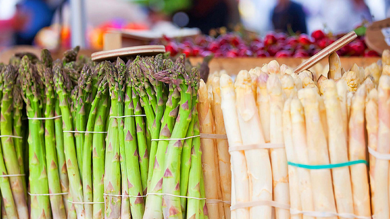 спаржа белая и зеленая фото