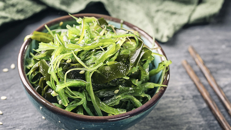 водоросли фото