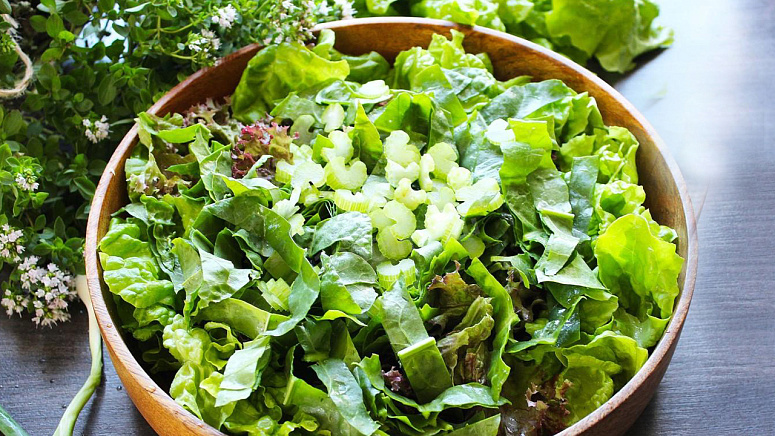 Салат с щавелем фото