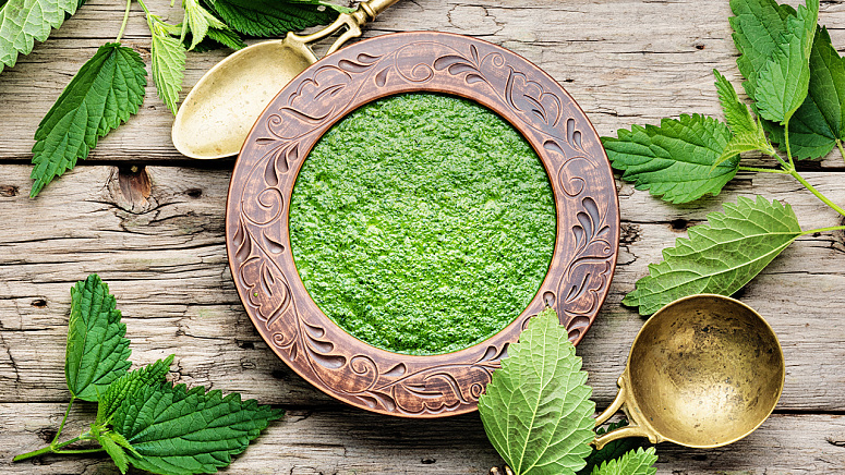 суп из крапивы фото