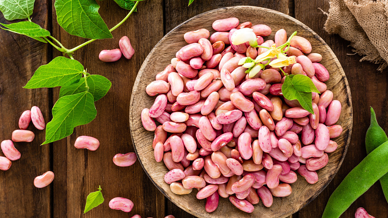 фасоль красная фото