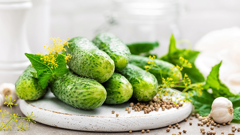 Свежий огурец фото