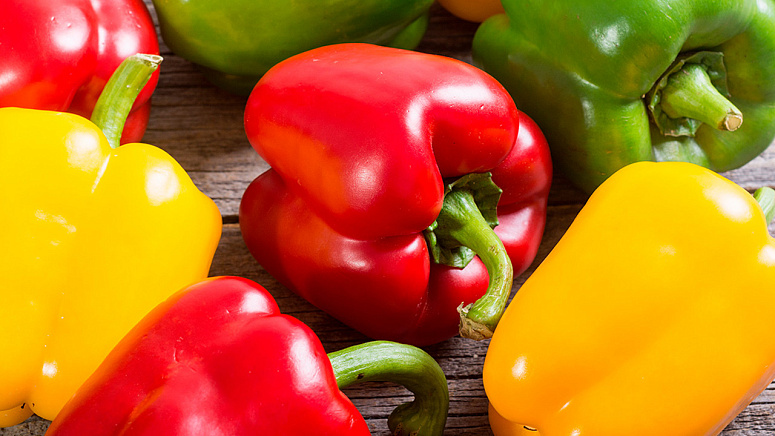 Болгарский перец фото
