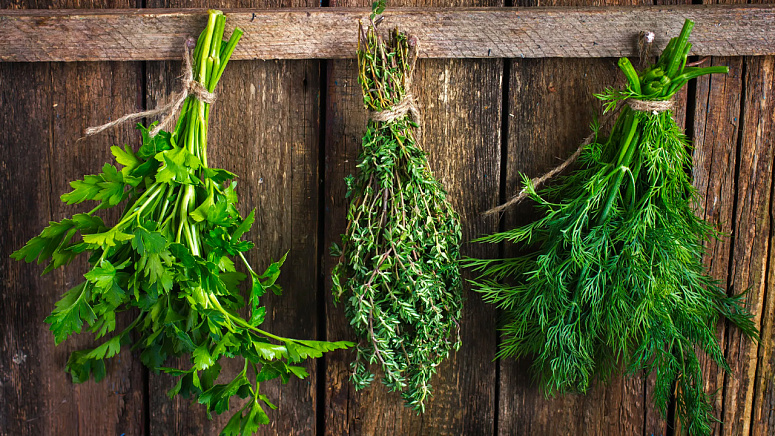 зелень фото