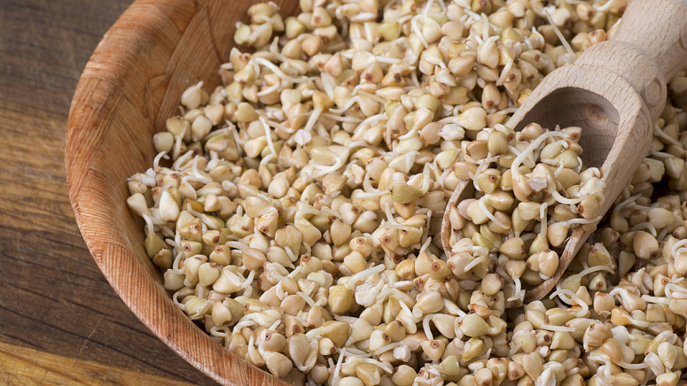 Зелёная гречка, проростки, ложка