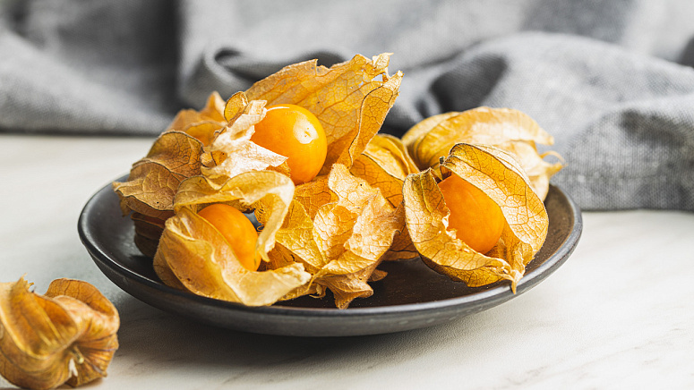 Спелый физалис фото