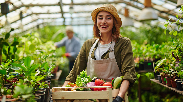 Сбор сезонного урожая фото