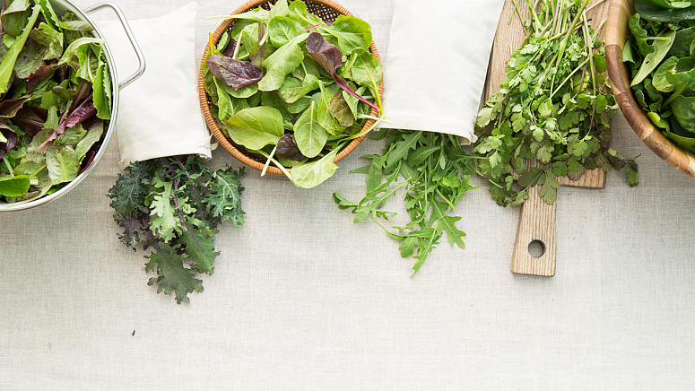 Разная зелень фото