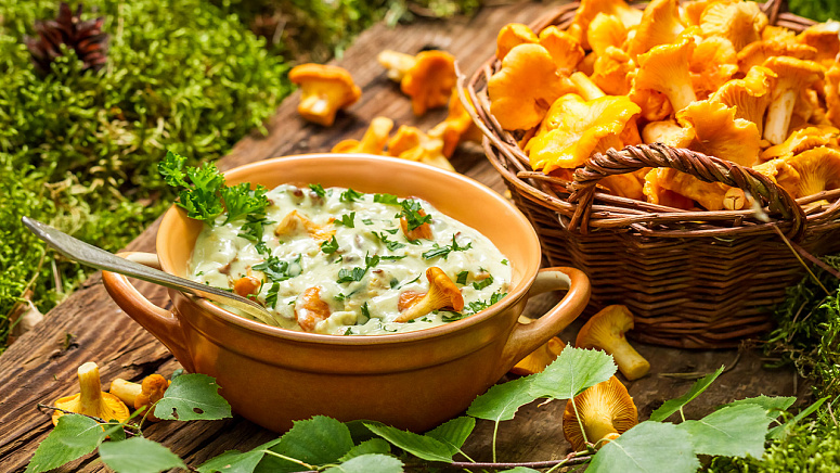 лисички грибы фото