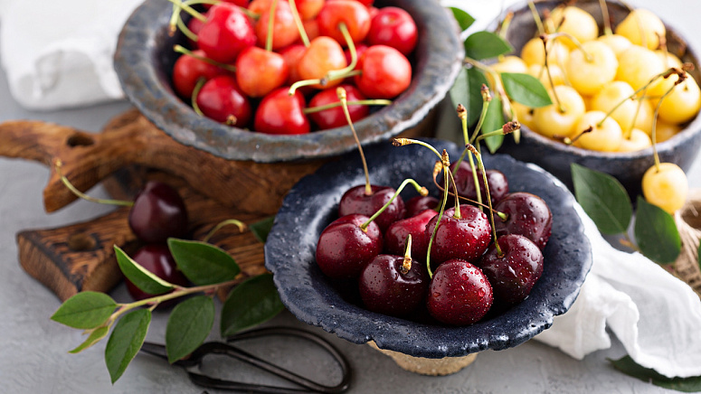 разна черешня фото