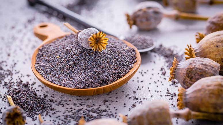 Коробочки мака фото