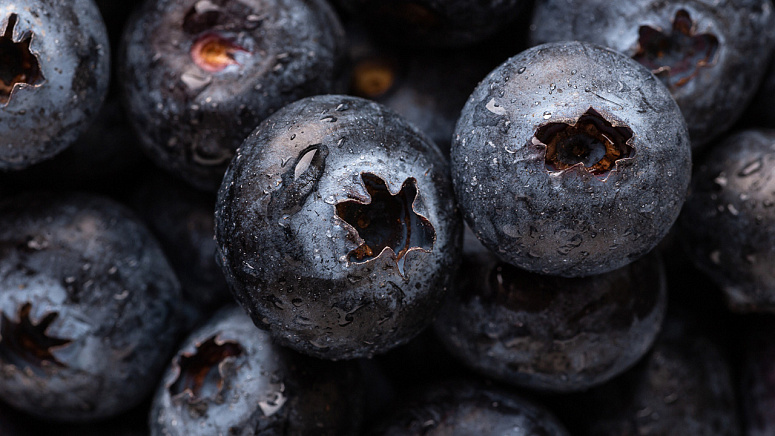 сочная спелая голубика фото