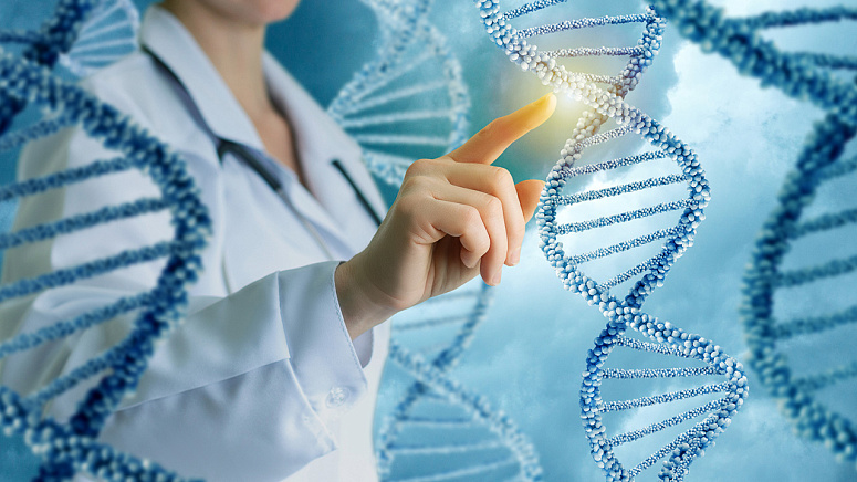 аминокислоты, белок