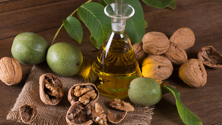 грецкий орех, масло из грецкого ореха