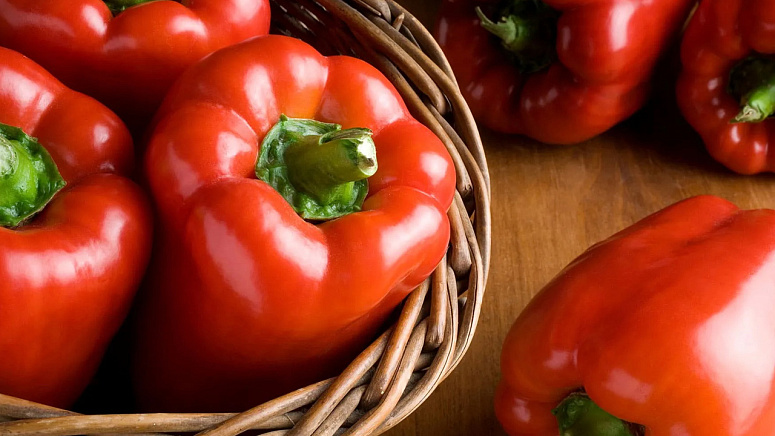 перец болгарский фото