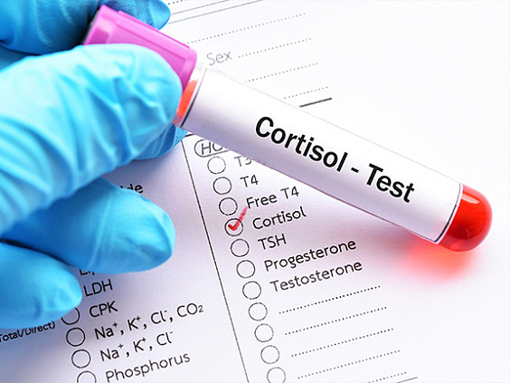 Кортизол