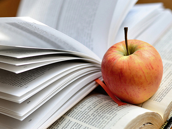 Преподаватели