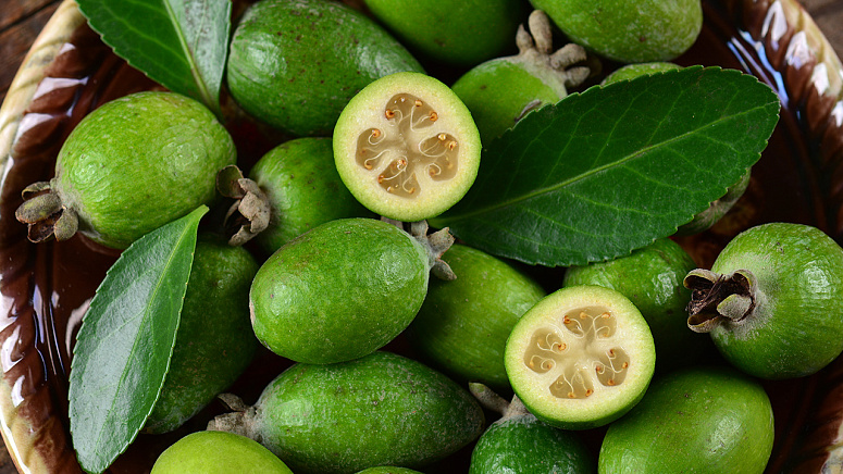 Фейхоа фото