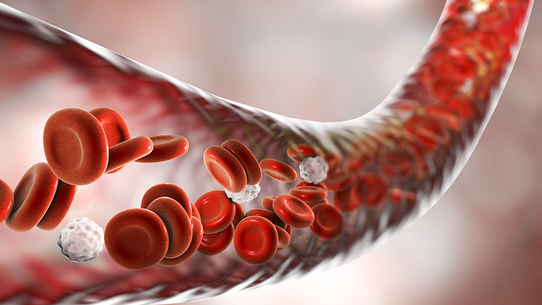 кровь, сосуды