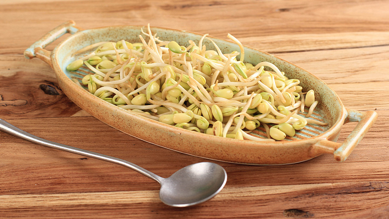 проростки из сои фото