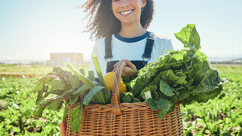 свежие овощи и зелень фото