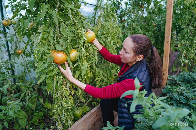Екатерина Андросова в садах КЦ «Аура» фото