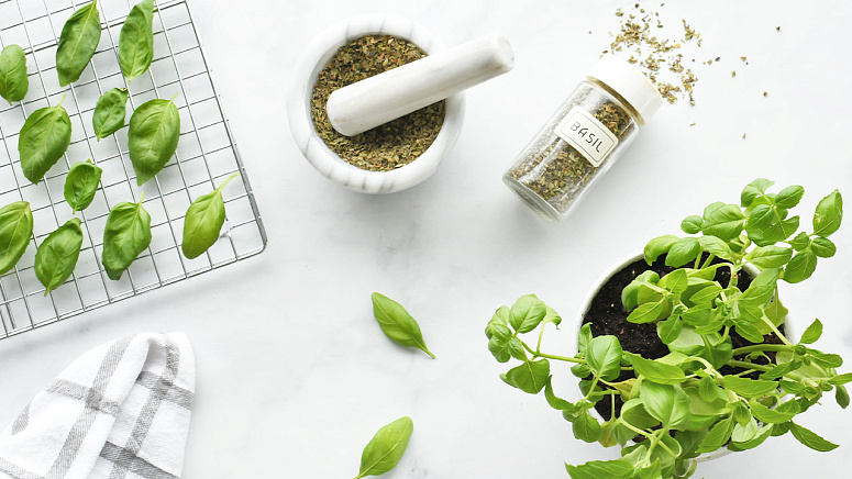 Сушеный и свежий базилик фото