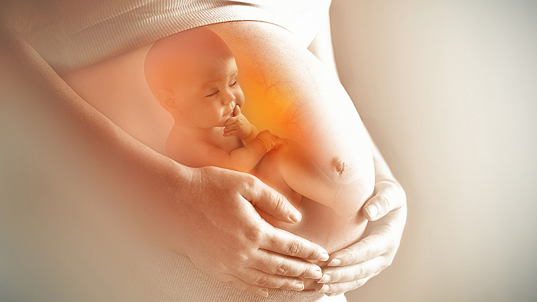 Малыш в утробе матери фото