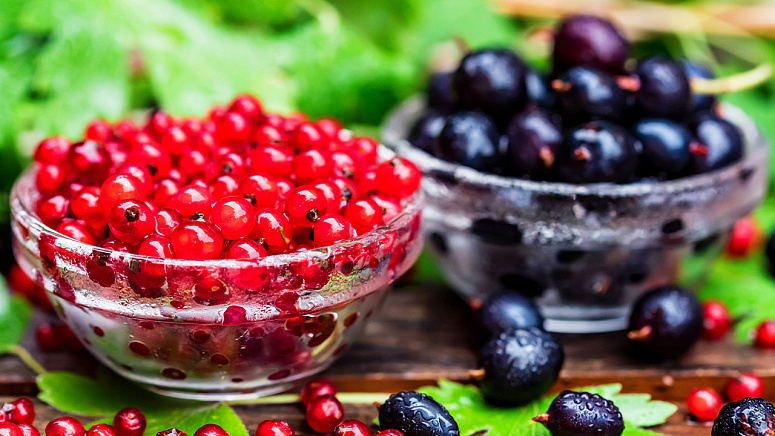 спелые ягоды фото