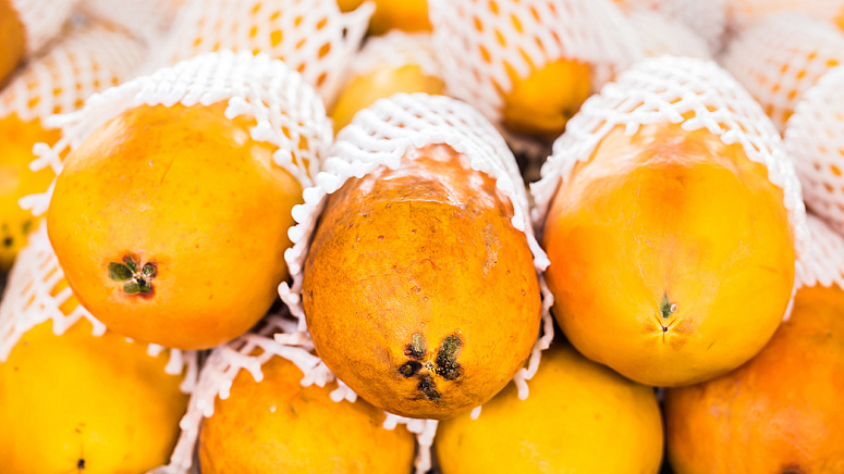 Как хранить папайю фото