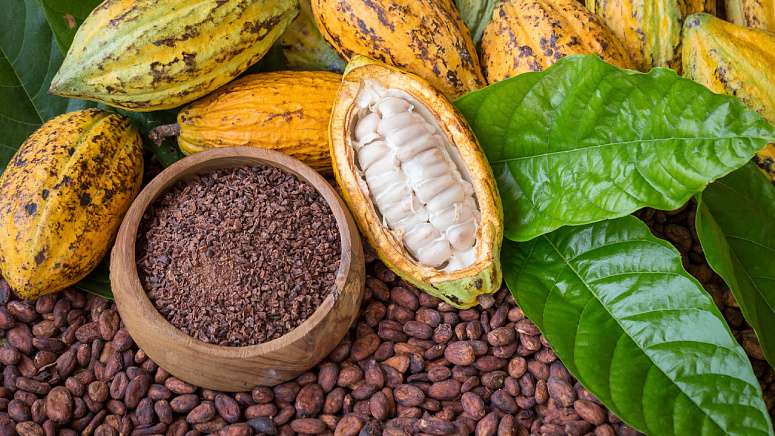 Какао-бобы и какао