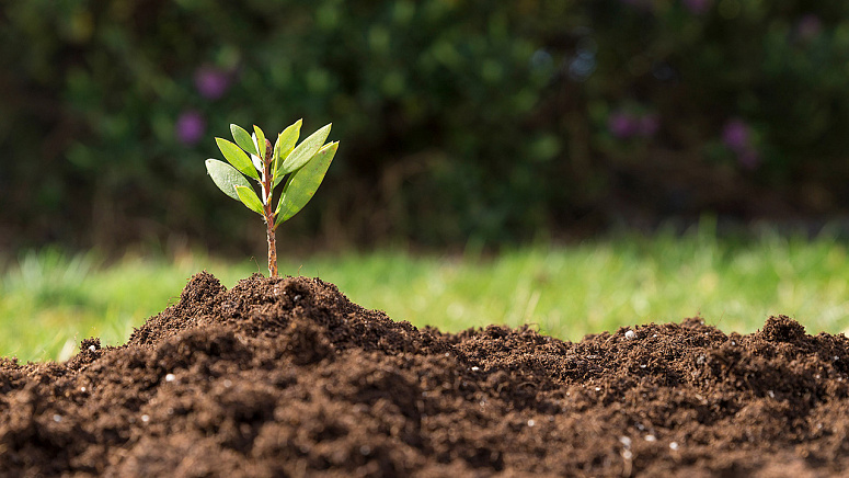 плодородная почва фото