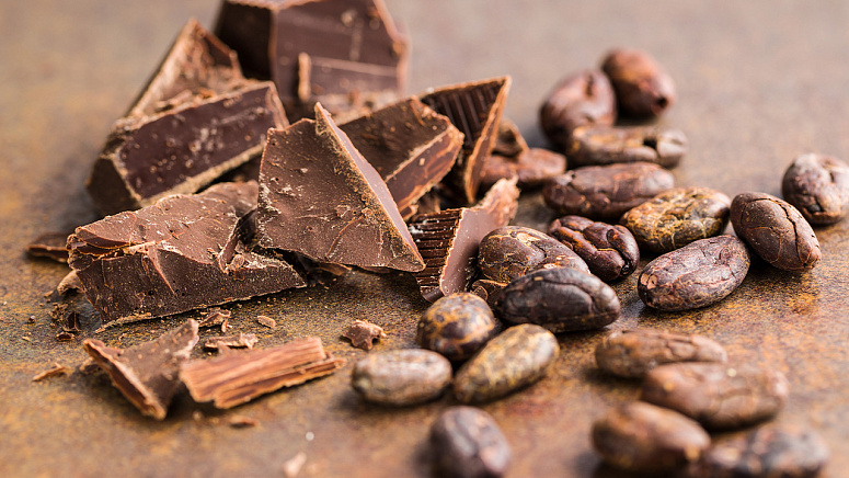 Какао-бобы и горький шоколад