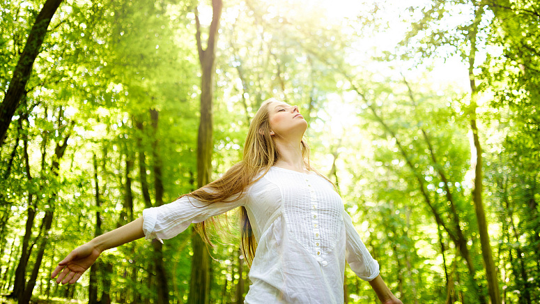 солнце, лес, девушка