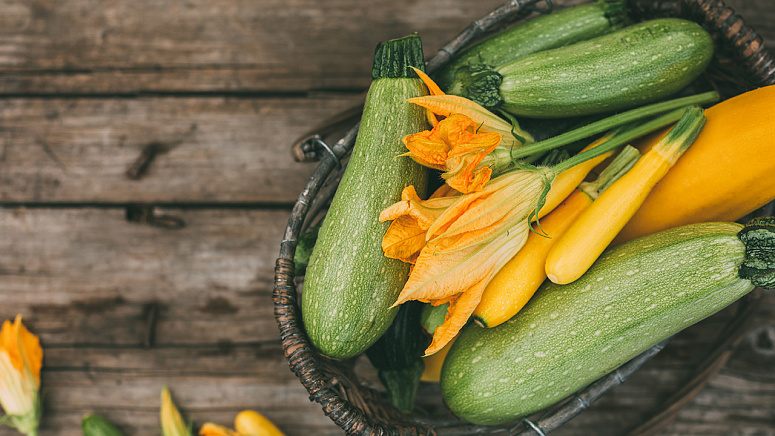 свежий кабачок фото