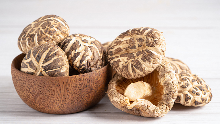 Шиитаке грибы фото