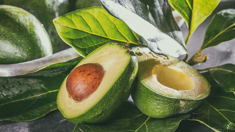 Спелое авокадо фото