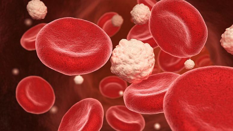 кровяные тельца фото