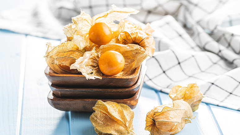 спелый физалис фото