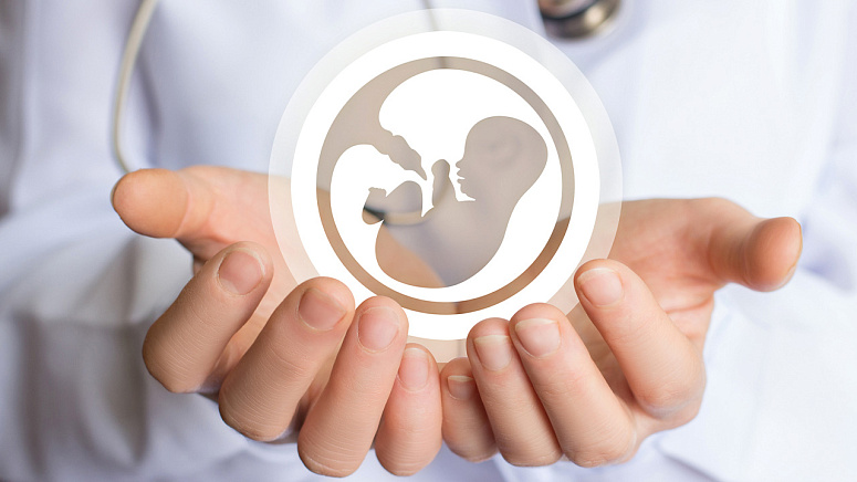 эмбрион фото