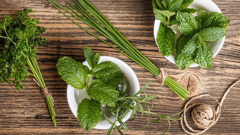 |Употребление мяты и прочей зелени перед приемом пищи