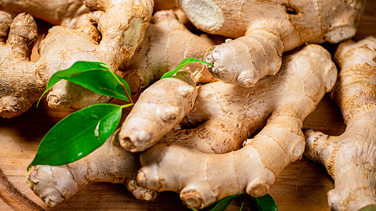 Корень имбиря фото