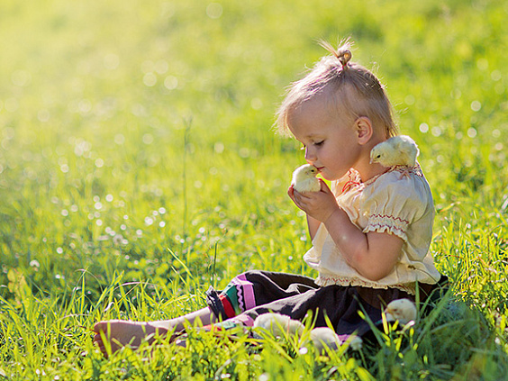 Почему не стоит есть яйца