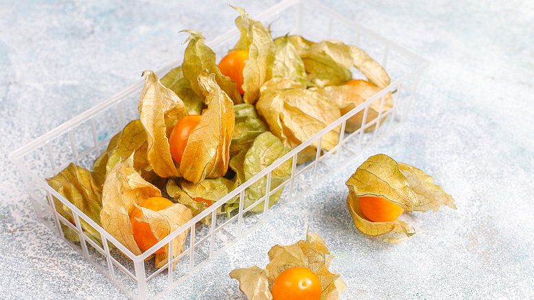 Физалис фото